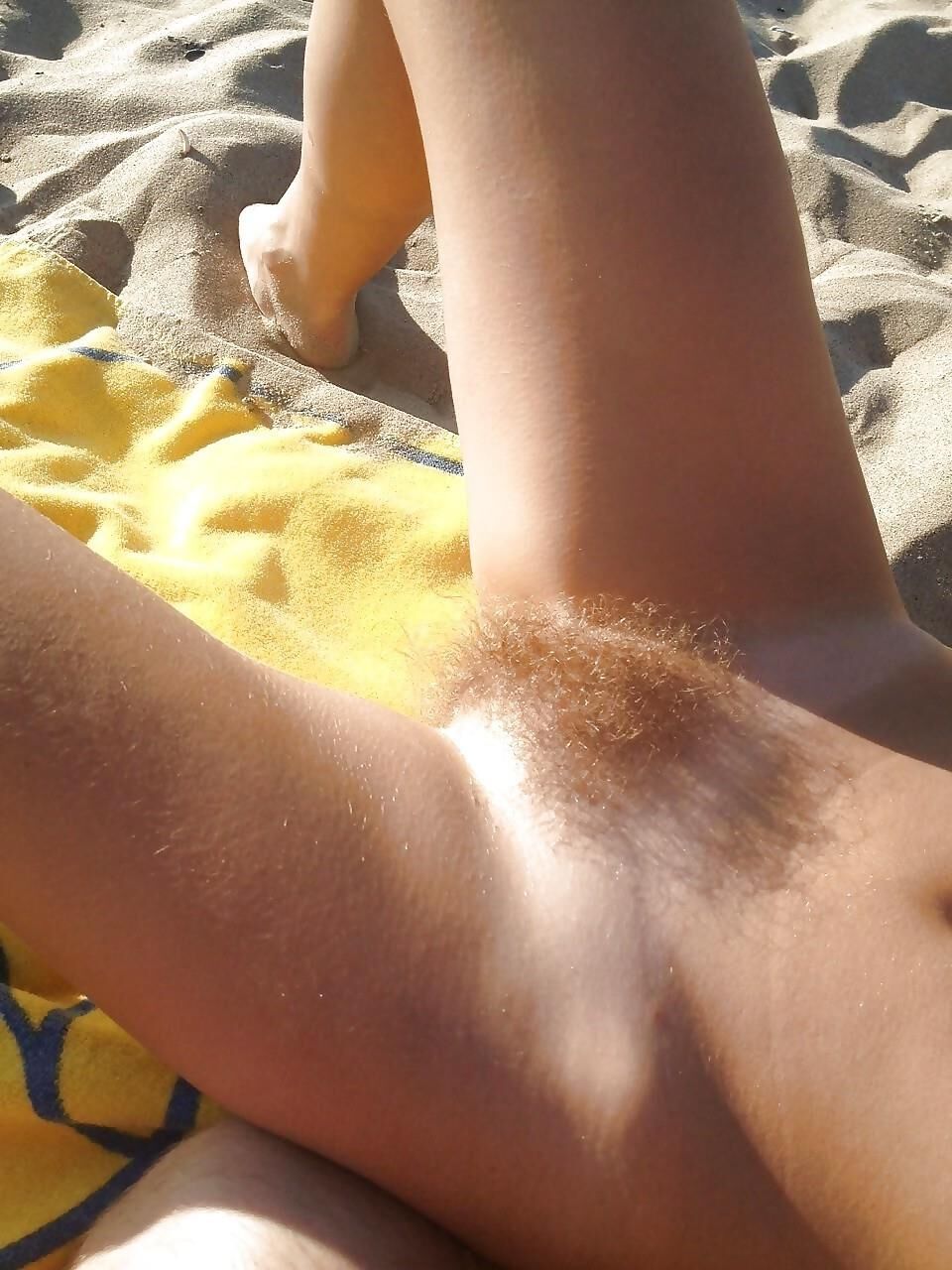 peludo al sol