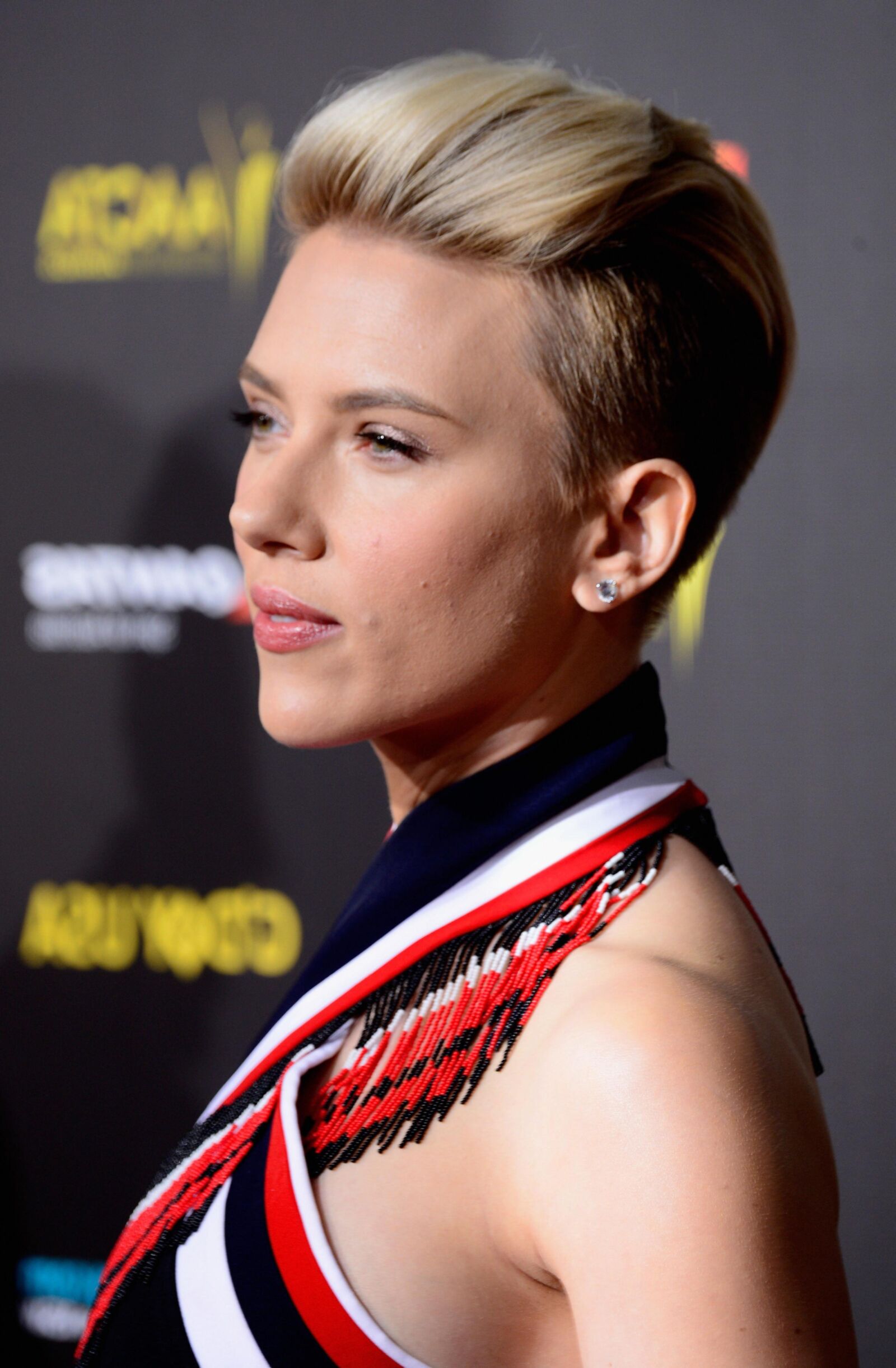 Scarlett Johansson - Gala de Gala de EE. UU.