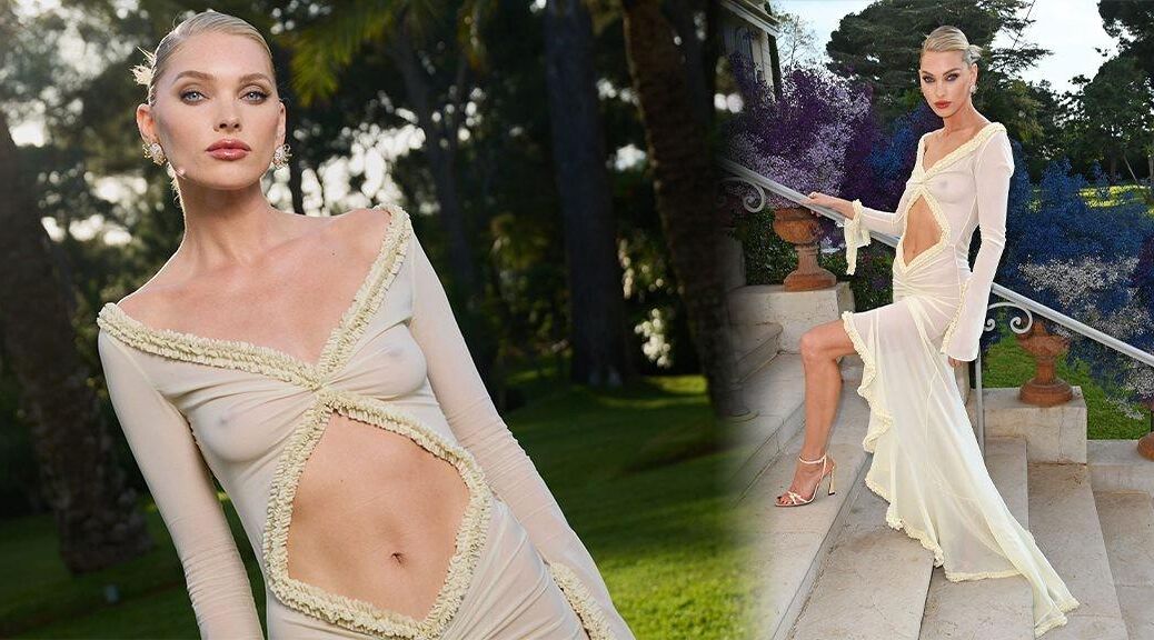 ELSA HOSK BOOBS NIPPLES SHEER DRESS AMFAR CANNES