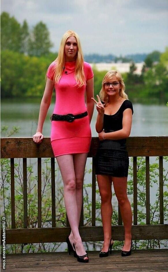 Amazon Electra ( meter tall)