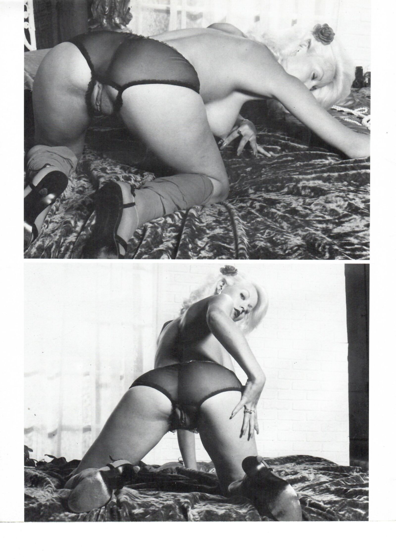 Seka in Passion Pets Magazine