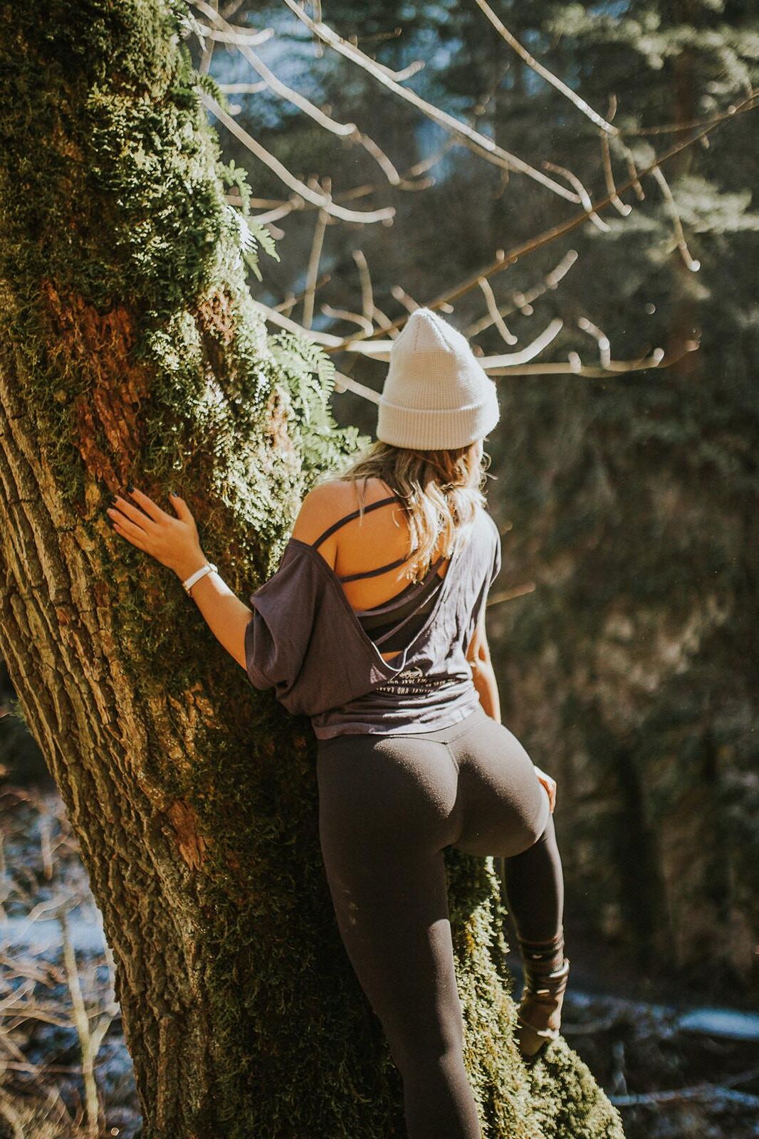 Chamadas especiais da natureza