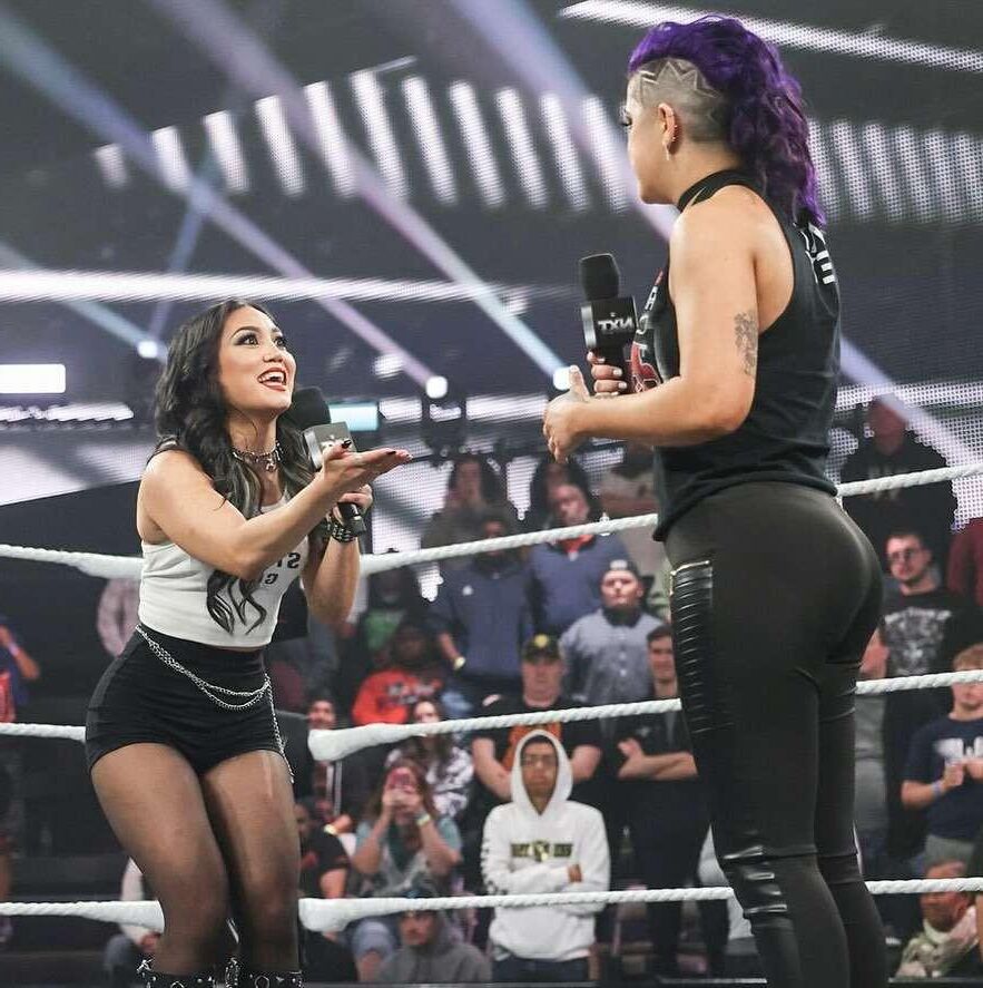 WWE Wrestling Divas Mix