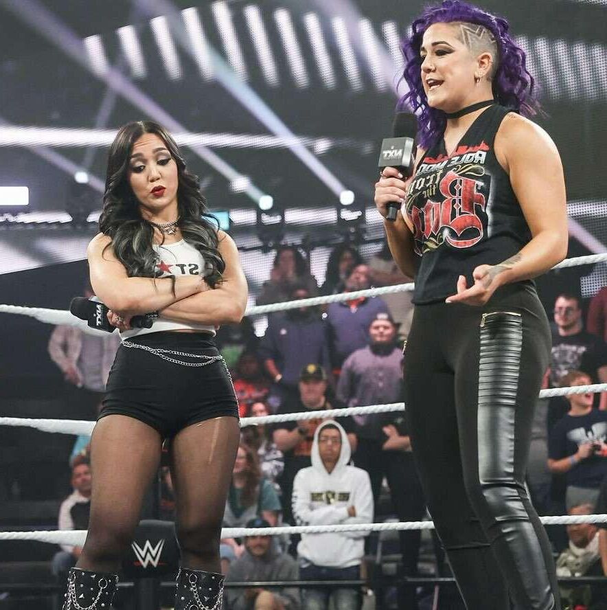 WWE Wrestling Divas Mix