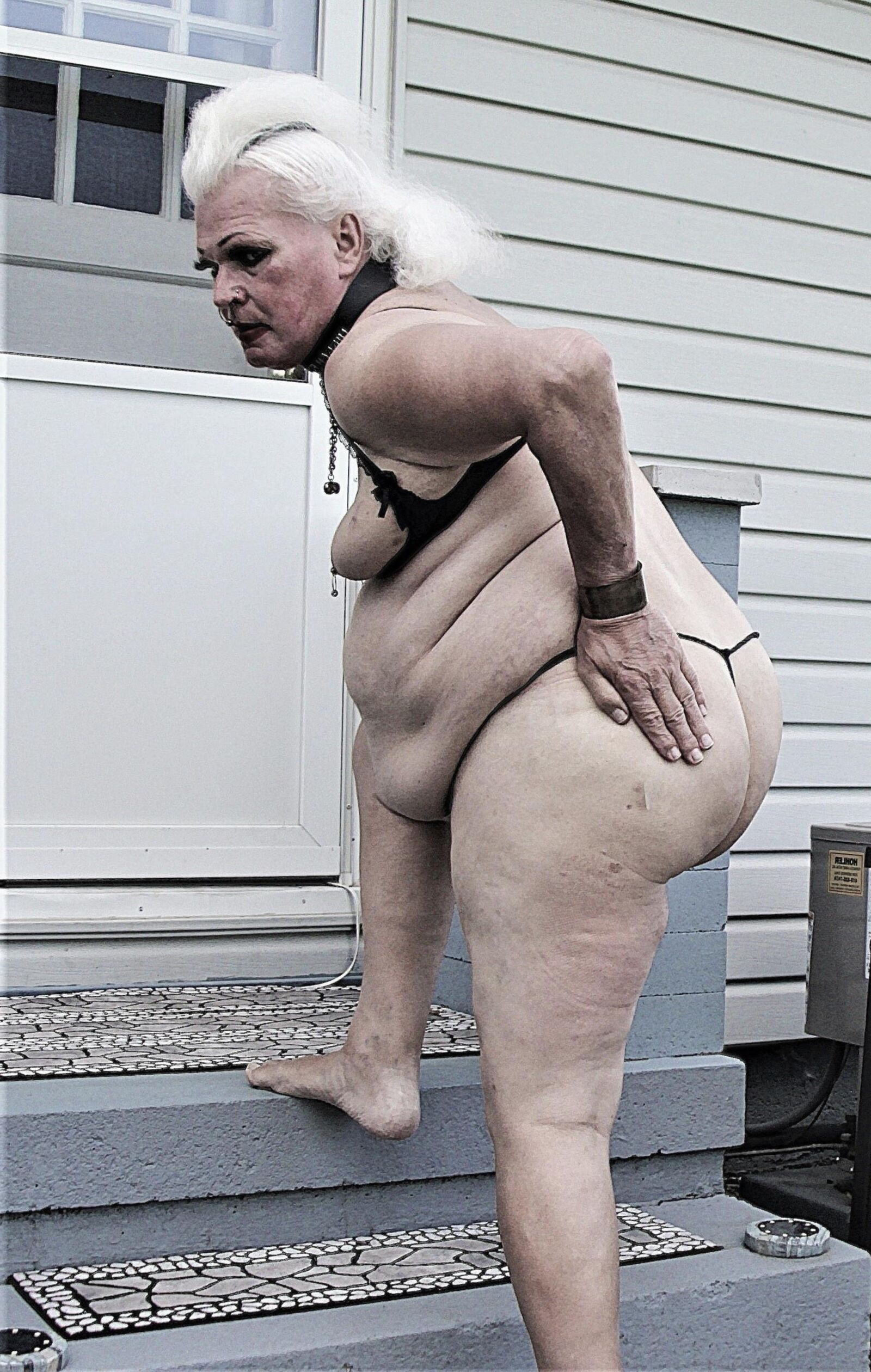 Shuggah Tits