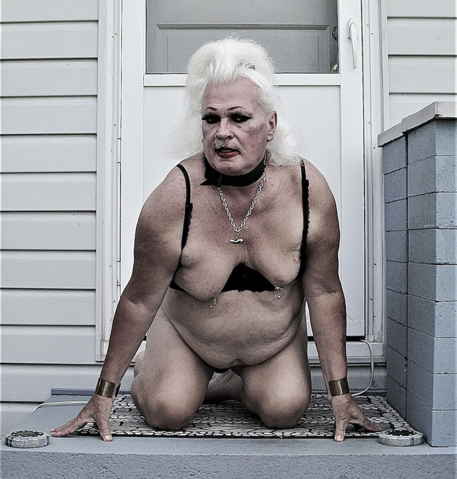 Shuggah Tits