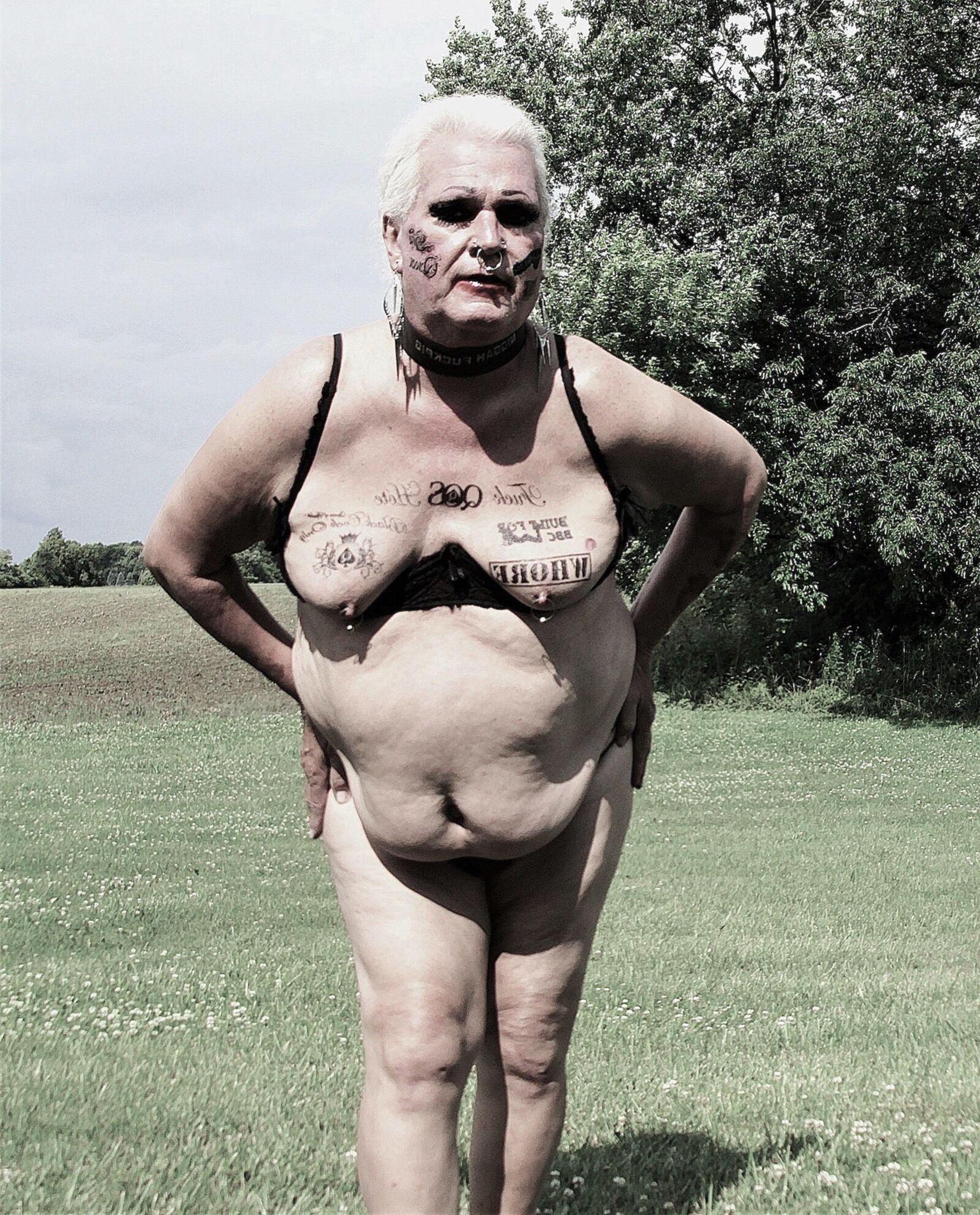 Shuggah Tits