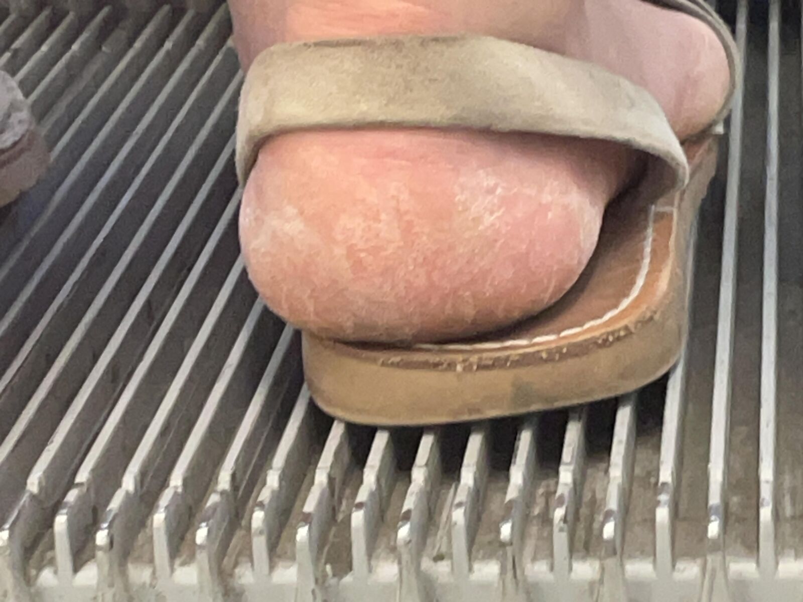 Barbies Crusty Heels