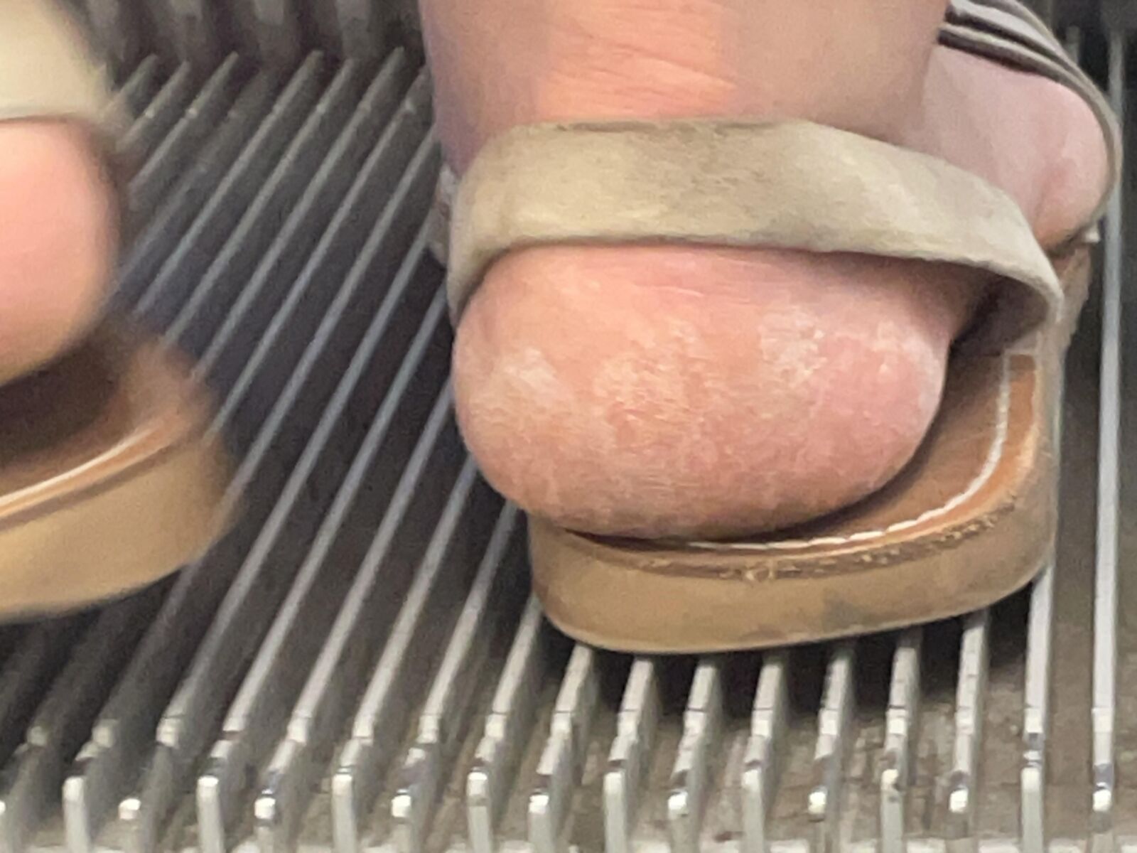 Barbies Crusty Heels