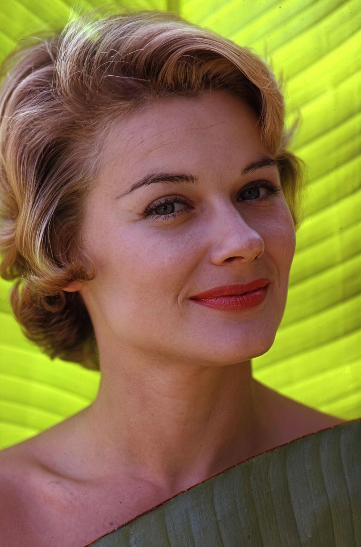 Vintage actress Hope Lange in hyper resolution