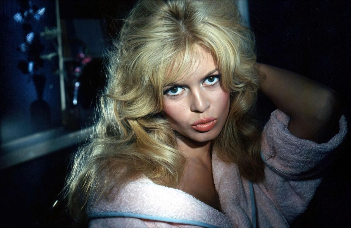 French actress Brigitte Bardot in hyper resolution 