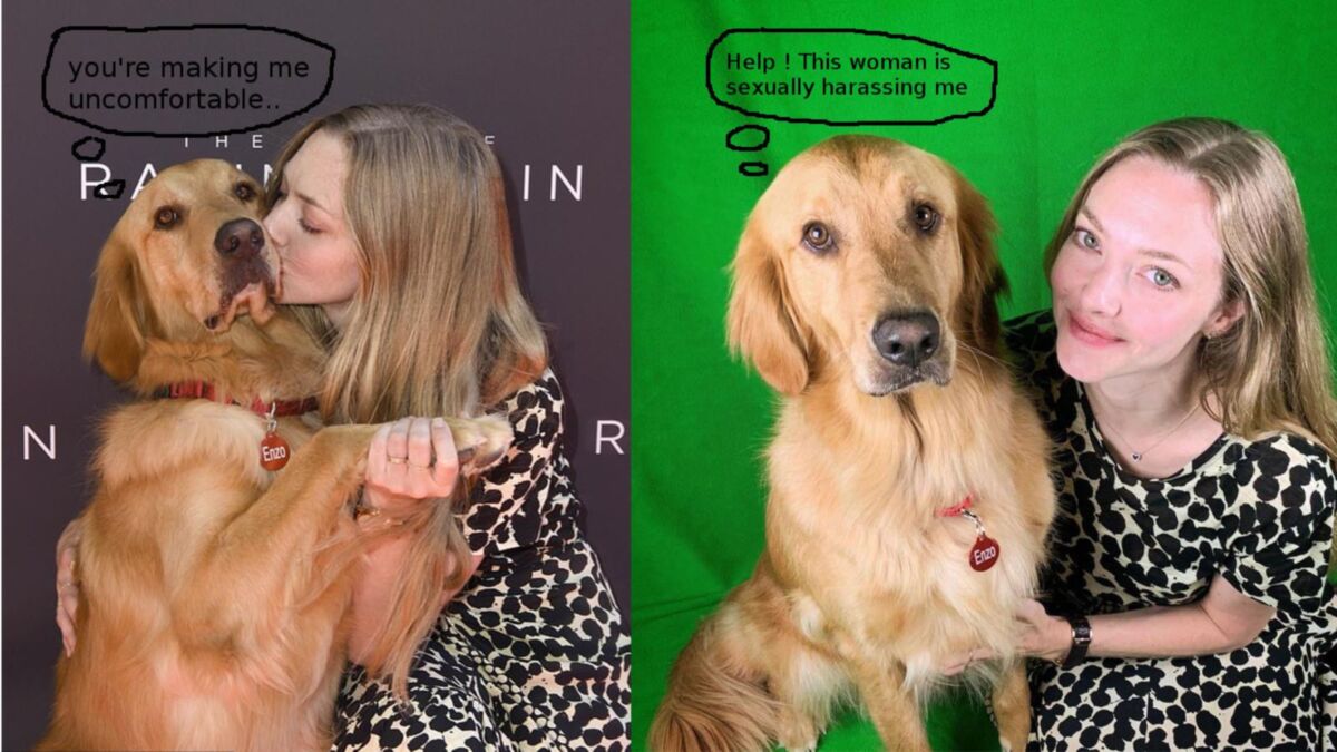 Mulher e seu grande amor ... só por diversão
