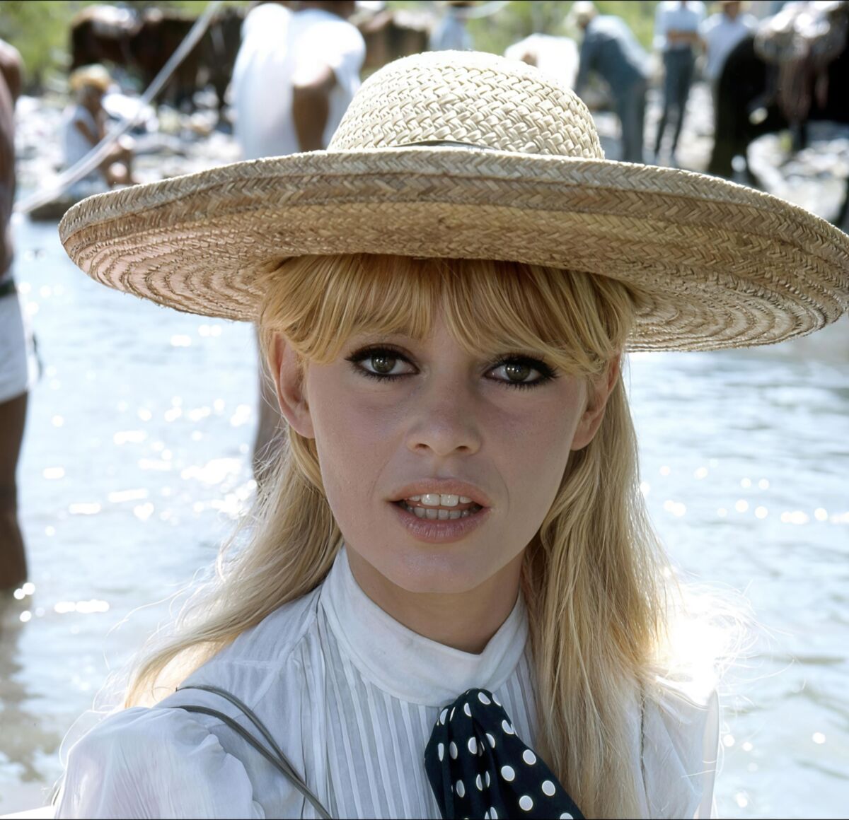 French actress Brigitte Bardot in hyper resolution 