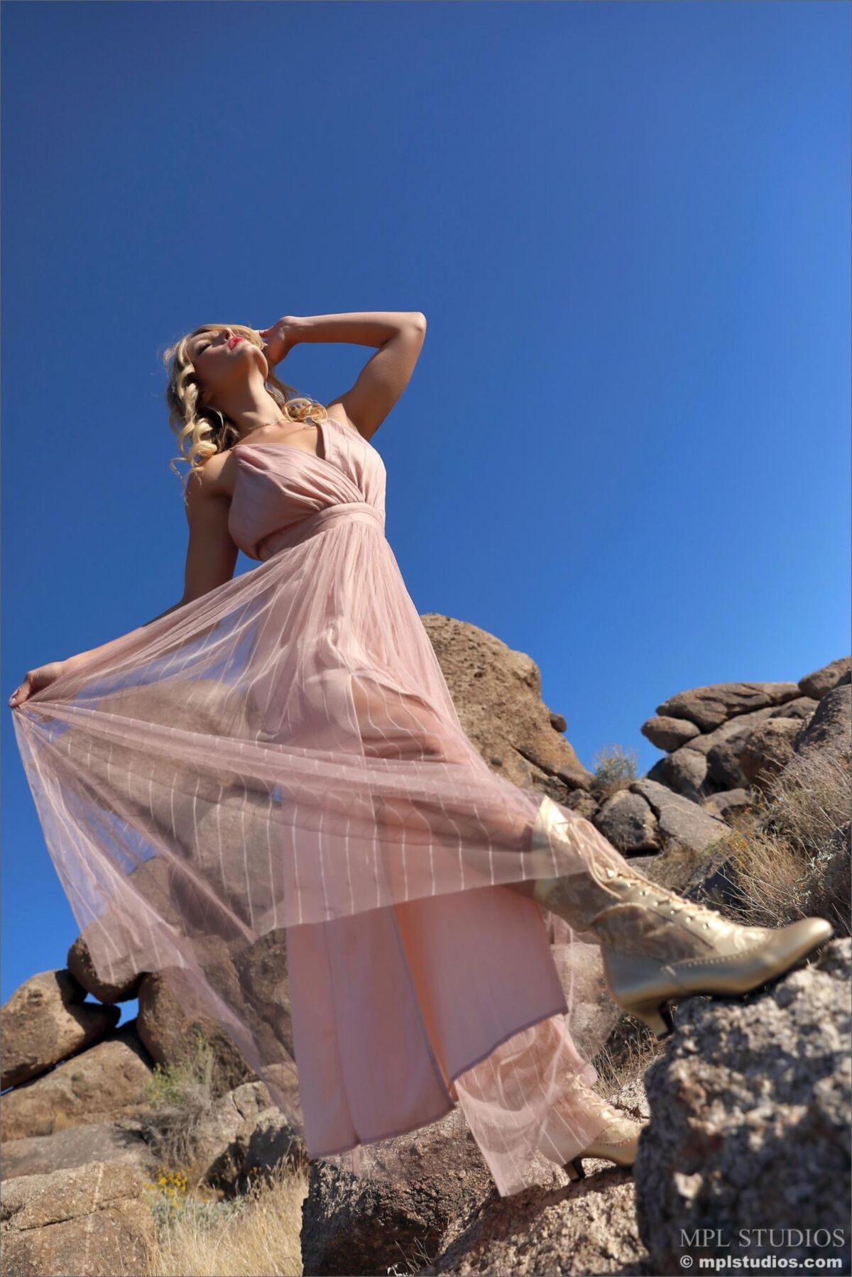 Scarlet Queen of the Desert