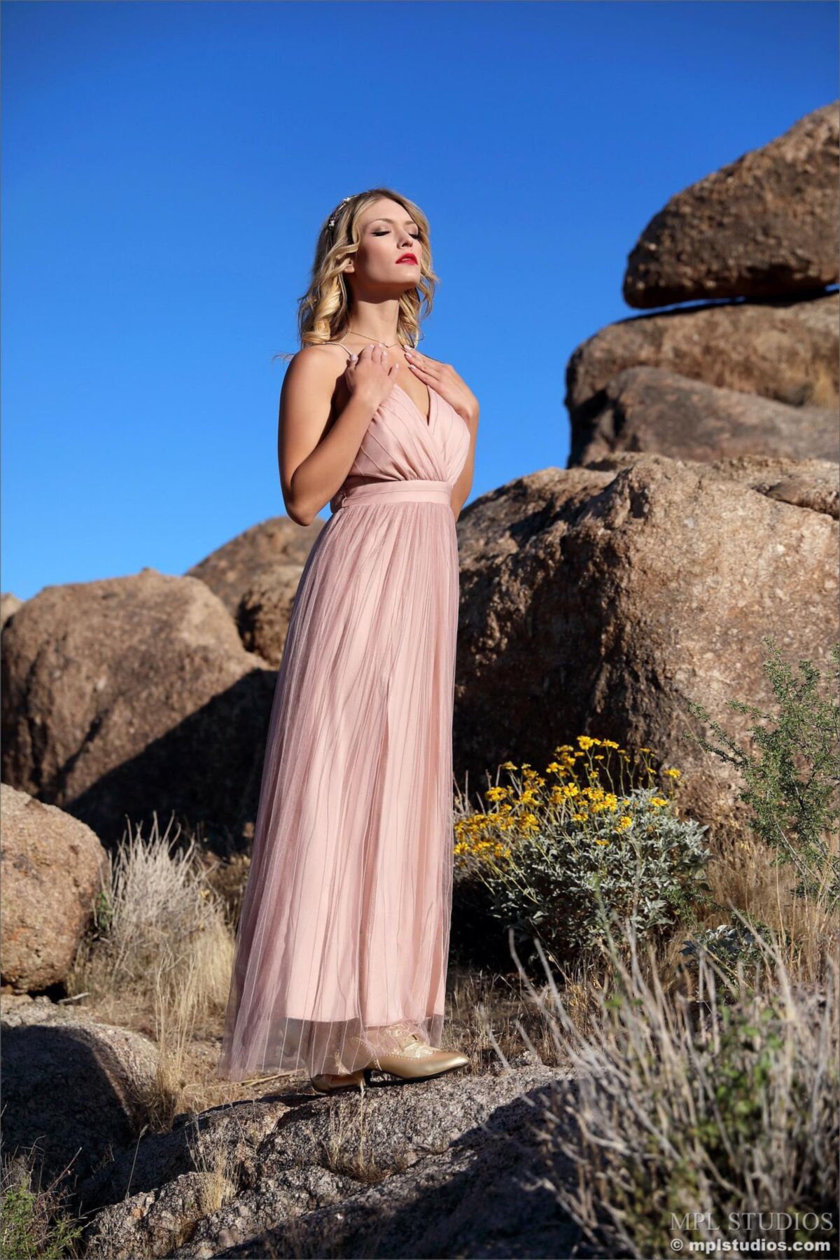 Scarlet Queen of the Desert