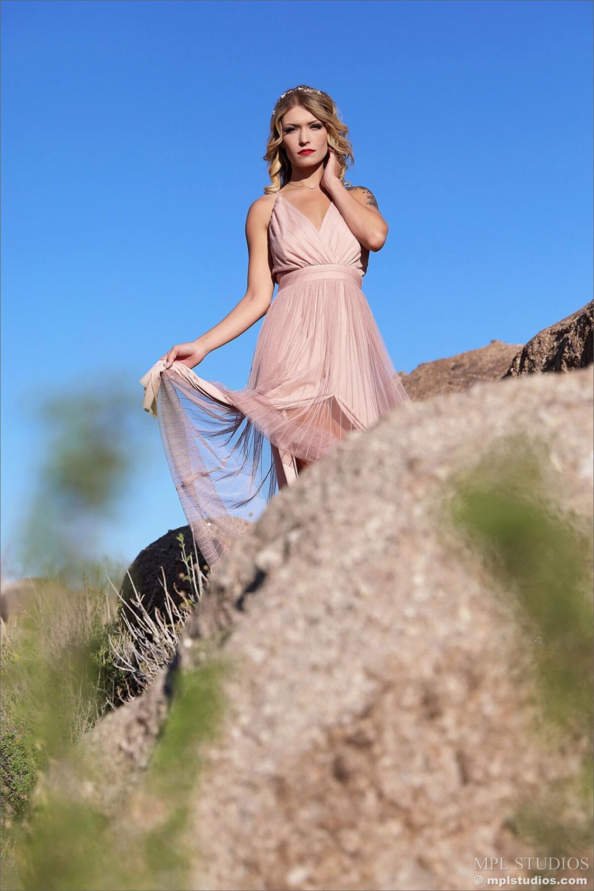 Scarlet Queen of the Desert