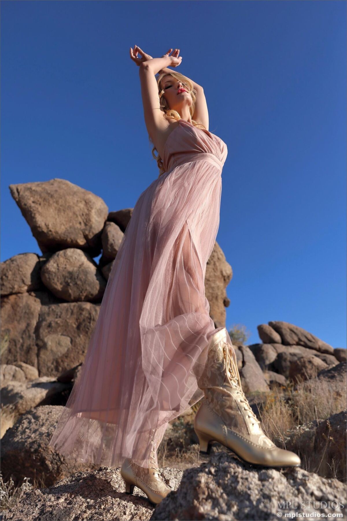 Scarlet Queen of the Desert