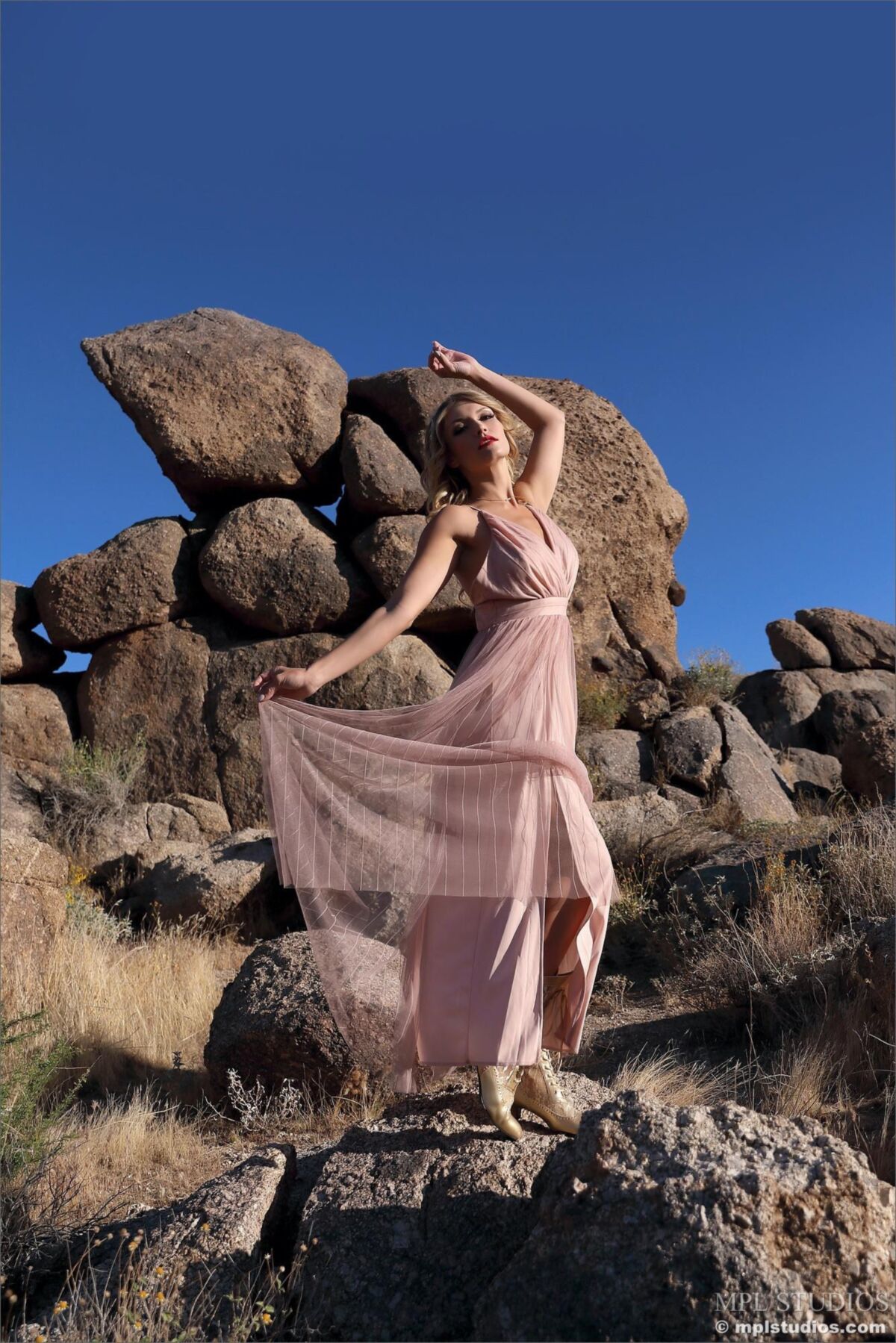 Scarlet Queen of the Desert