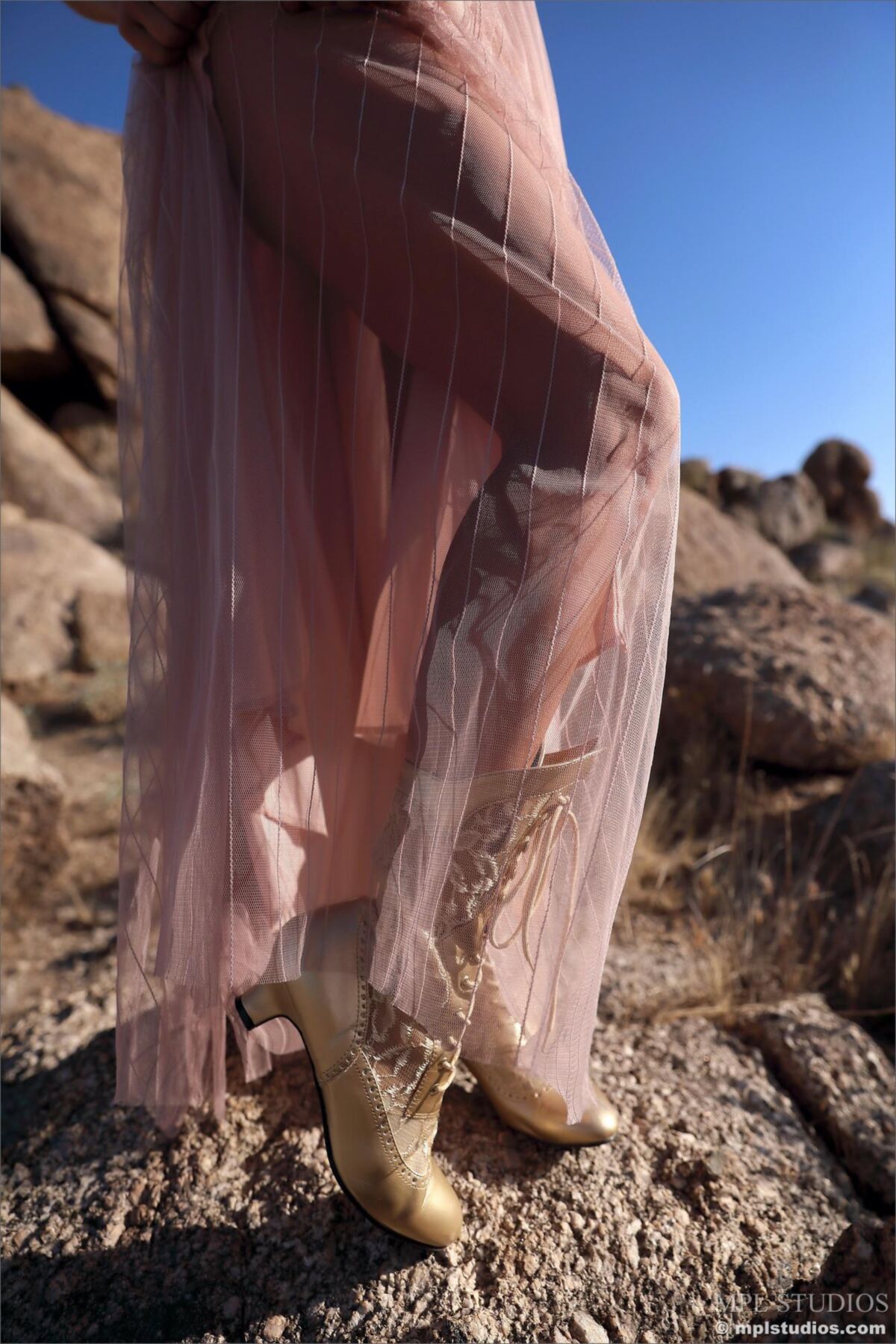Scarlet Queen of the Desert