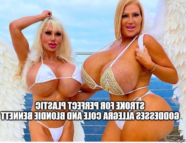 Perfect Plastic Goddesses
