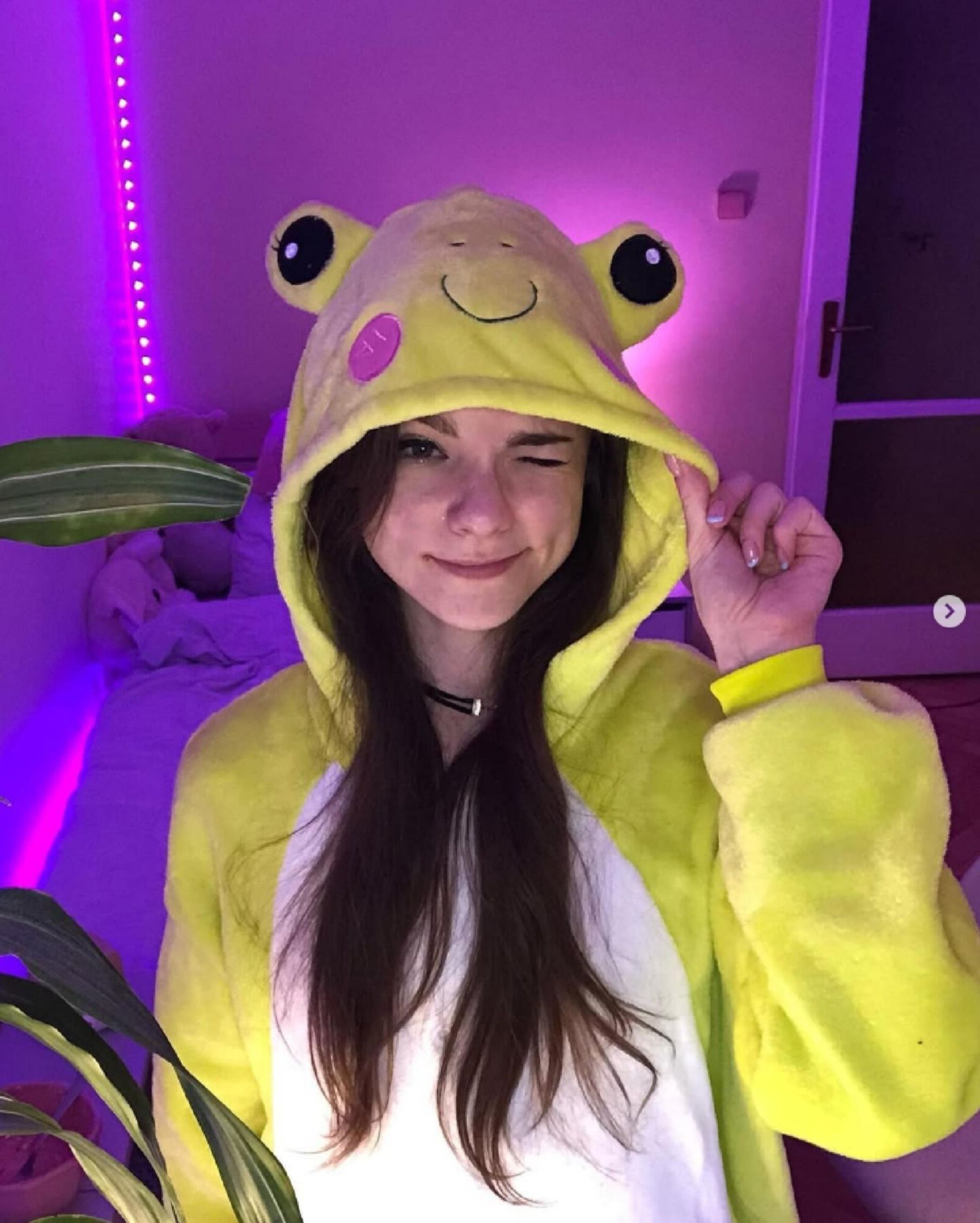 Chaisia