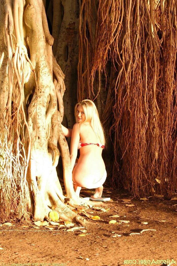 Alisonangel Alison im tropischen Paradies