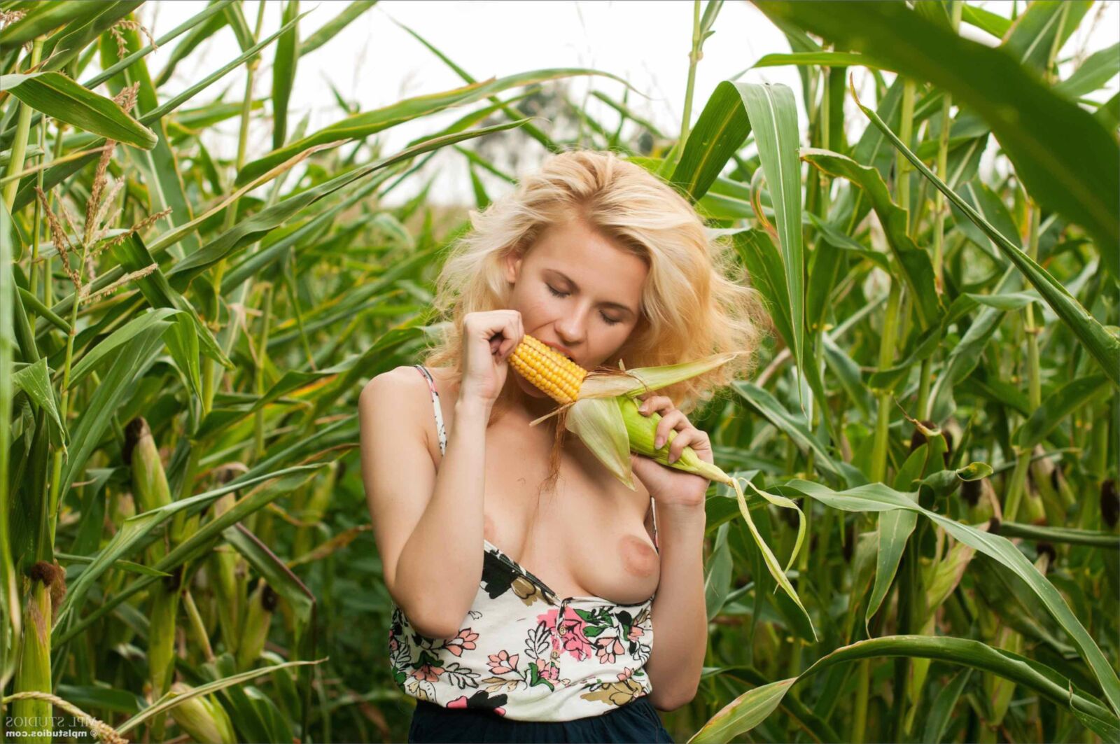 Mplstudios mina Cornfield